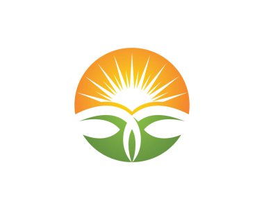 Yaprak doğa Logo şablonu