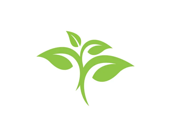 Foglia natura logo Template — Vettoriale Stock