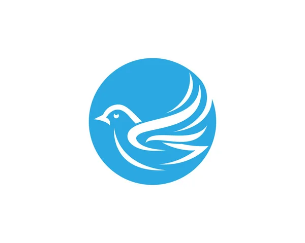 Modèle de logo de colombe oiseau — Image vectorielle