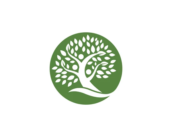 Albero genealogico modello di design logo — Vettoriale Stock