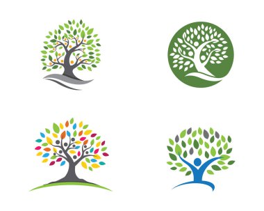 Ağaç yaprak ekoloji doğa tasarım