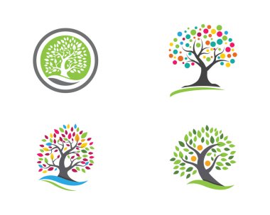 Ağaç yaprak ekoloji doğa tasarım