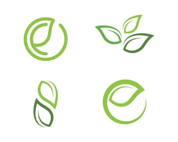 Leaf ekologi natur logotyp mall — Stock vektor