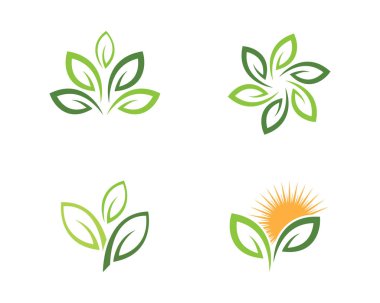 Yaprak ekoloji doğa Logo şablonu