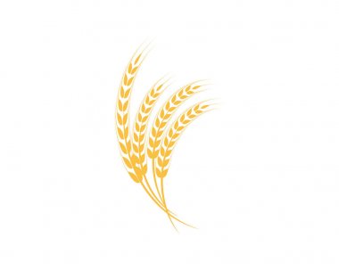 Tarım buğday Logo şablonu