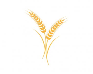 Tarım buğday Logo şablonu