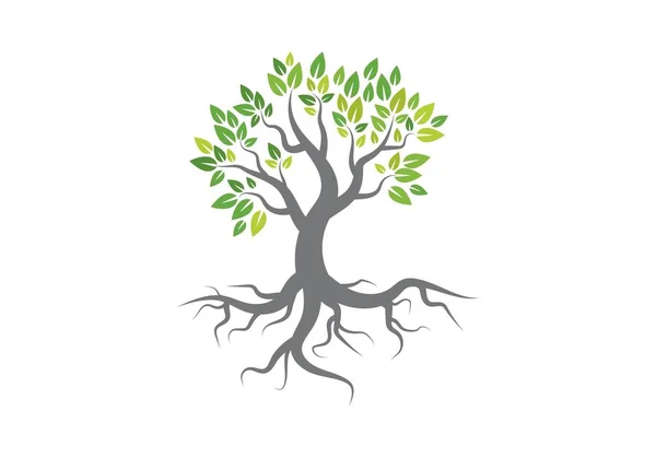 Vecteur de logo arbre — Image vectorielle