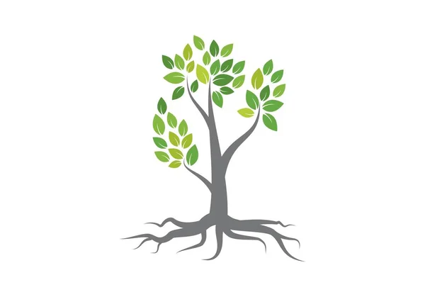 Tree logo vector — Stock Vector