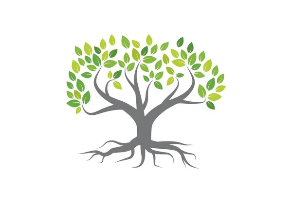 Tree logo vector — Stock Vector