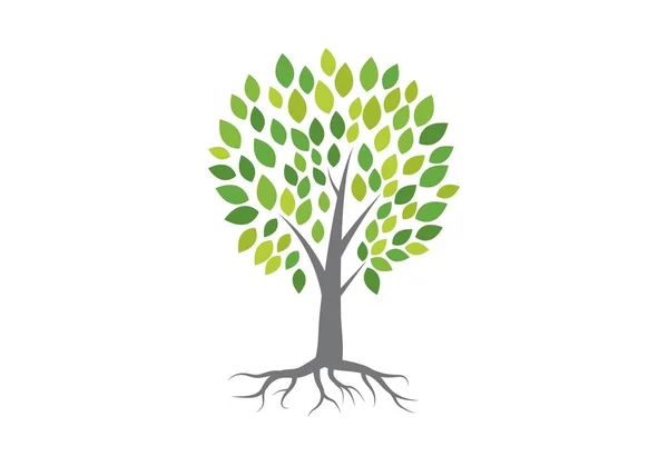 Tree logo vector — Stock Vector