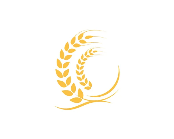 Agricultura trigo logotipo modelo — Vetor de Stock