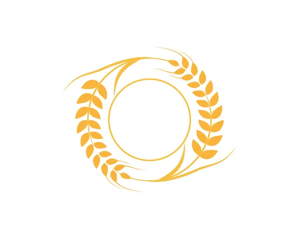 Mezőgazdasági búza logó sablon — Stock Vector