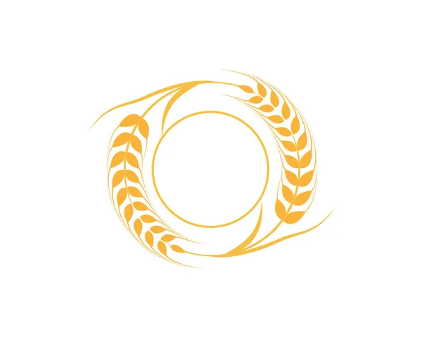 Landbouw tarwe Logo sjabloon — Stockvector