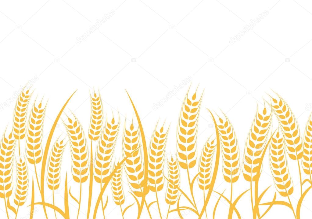 Agriculture wheat Logo Template