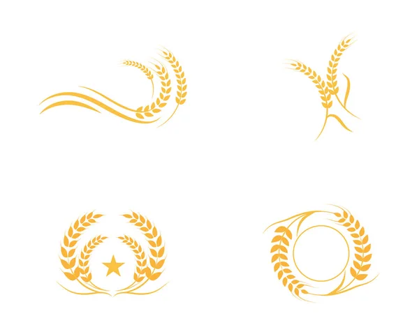Γεωργία σιταριού πρότυπο λογότυπο — Διανυσματικό Αρχείο
