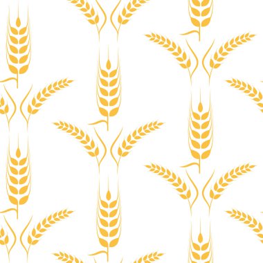 Tarım buğday vektör çizim tasarım 