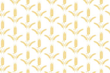 Tarım buğday vektör çizim tasarım 