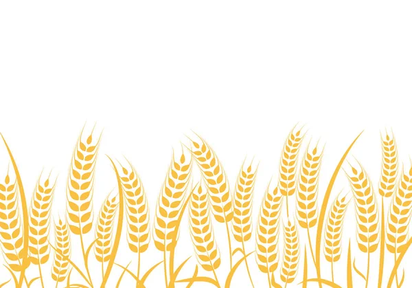 Tarım buğday vektör çizim tasarım — Stok Vektör
