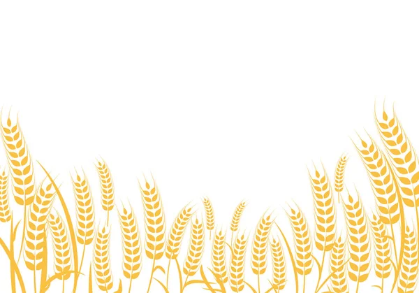 Agricultura trigo vector Diseño ilustrativo — Vector de stock