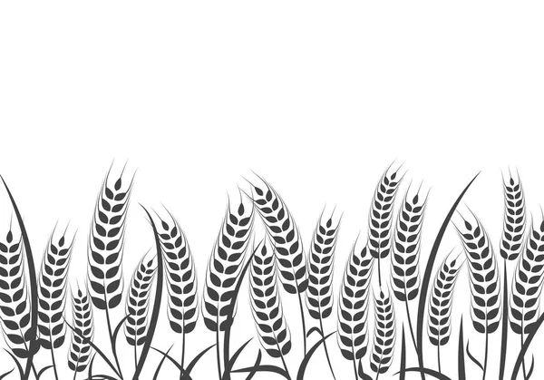 農業小麦ベクトル イラスト デザイン — ストックベクタ