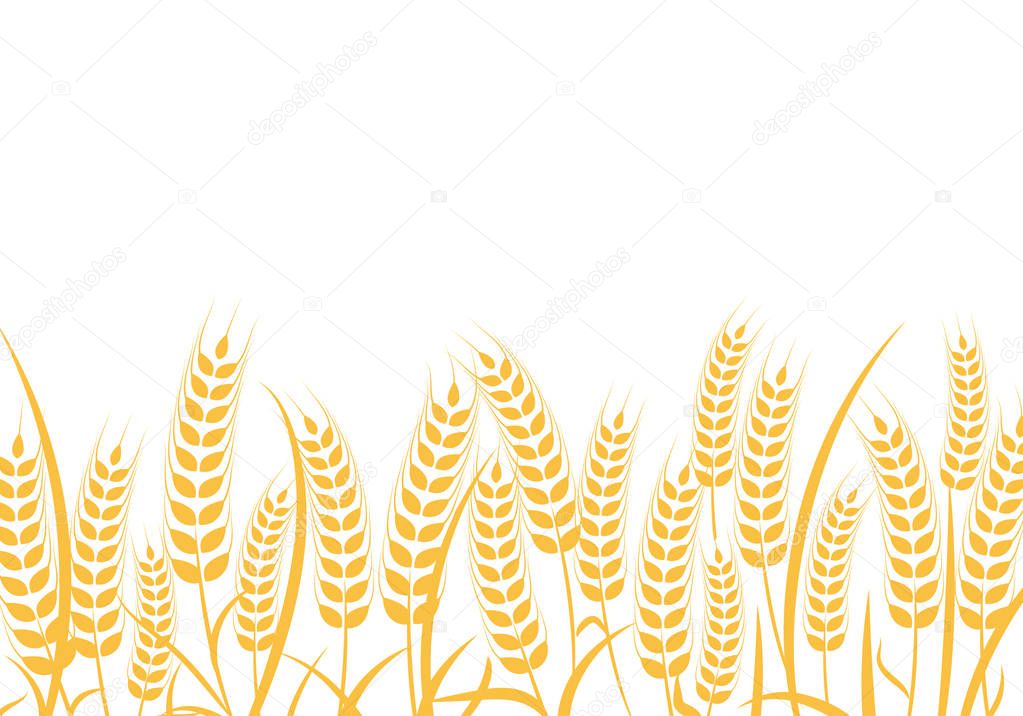 Agriculture wheat vector Illustration design 