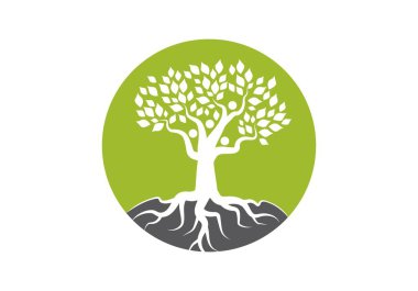 Aile ağacı logo vektör