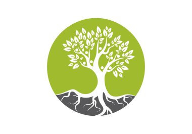 Aile ağacı logo vektör