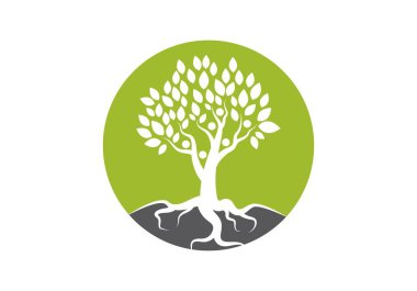 Aile ağacı logo vektör