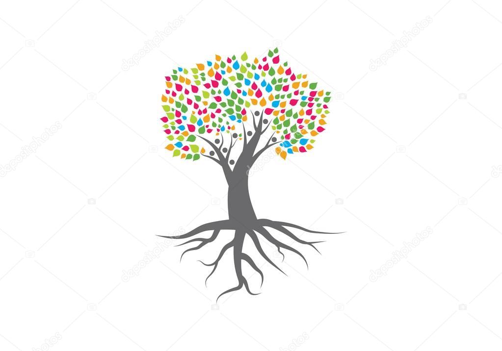 Family tree logo vector template