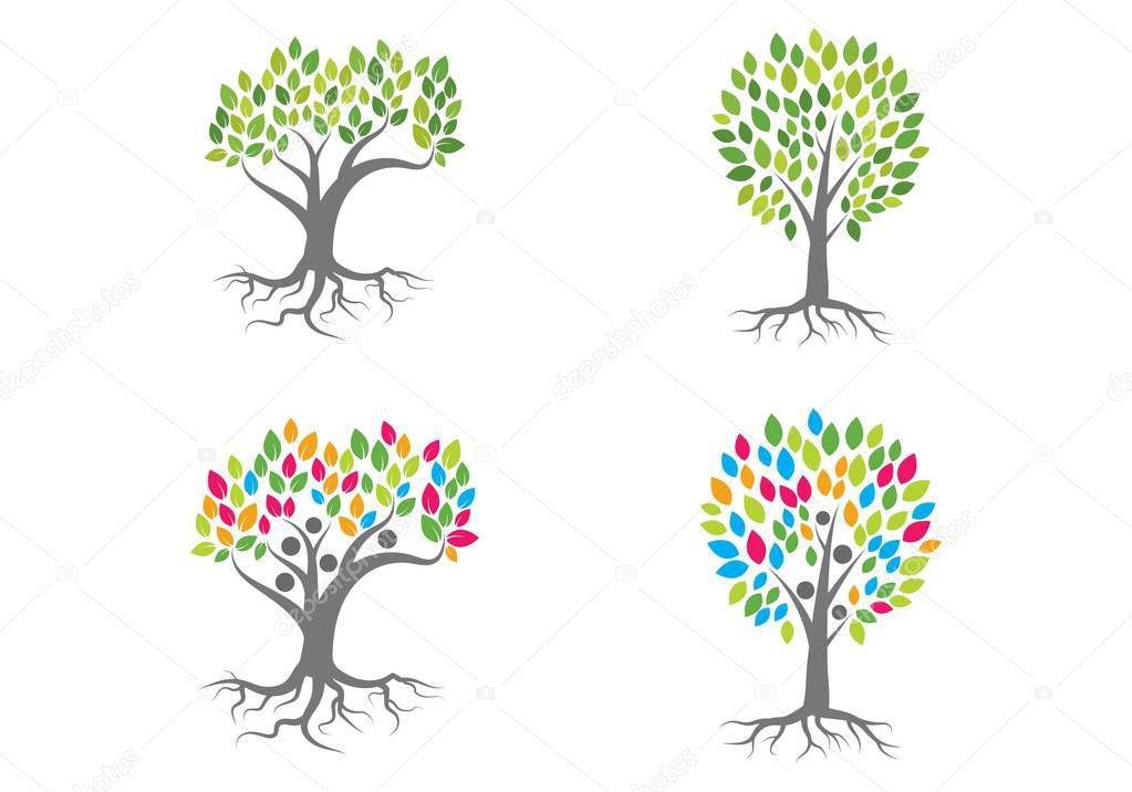 Family tree logo vector template