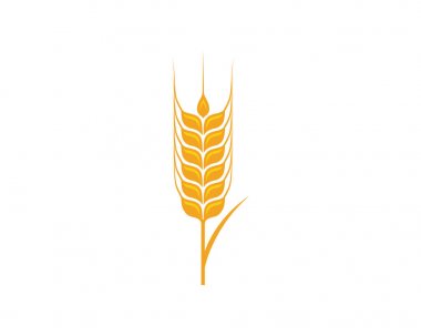 Tarım buğday vektör simgesi tasarım şablonu 