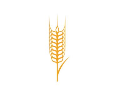 Tarım buğday vektör simgesi tasarım şablonu 
