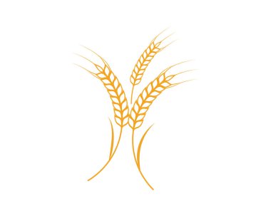 Tarım buğday vektör simgesi tasarım şablonu 