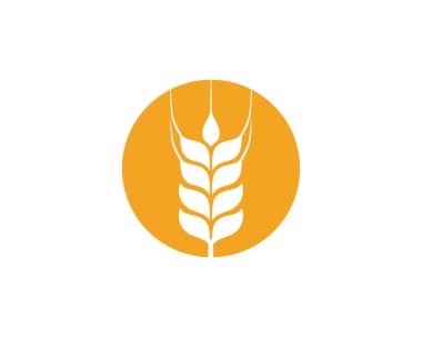 Tarım buğday vektör simgesi tasarım şablonu 
