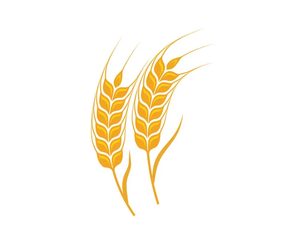 小麦農業テンプレート ベクトル アイコン デザイン — ストックベクタ
