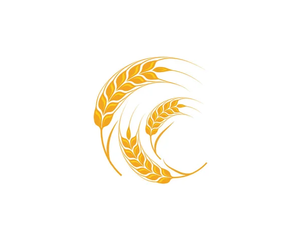 Agricoltura grano Modello vettoriale icona design — Vettoriale Stock