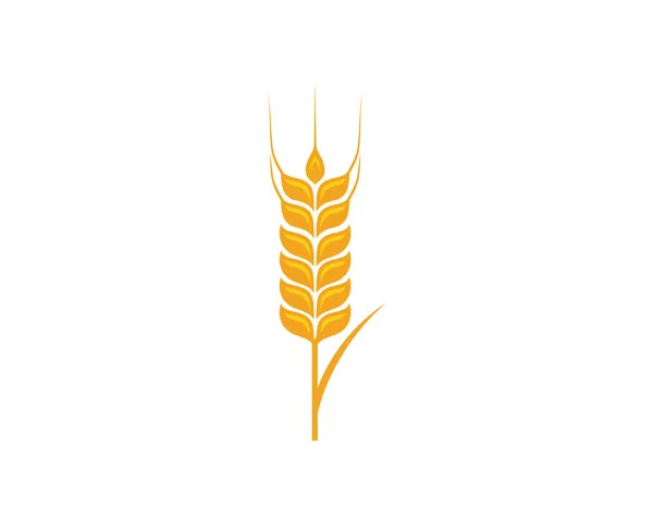 Сільськогосподарська пшениця Шаблон Векторний дизайн значка — стоковий вектор