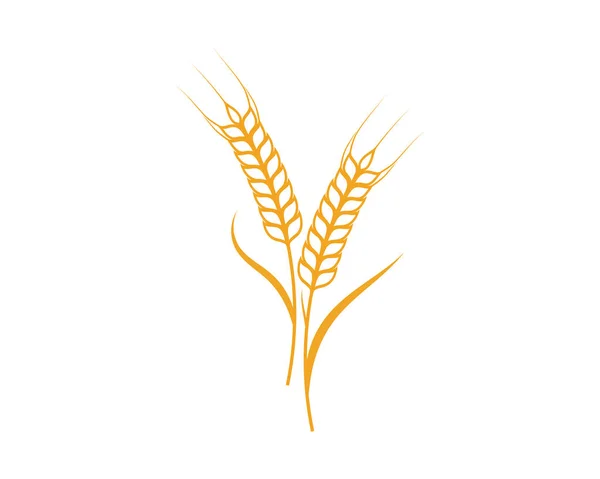 Дизайн векторной иконки сельскохозяйственной пшеницы — стоковый вектор
