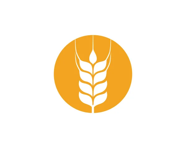 Landbouw tarwe sjabloonontwerp vector pictogram — Stockvector