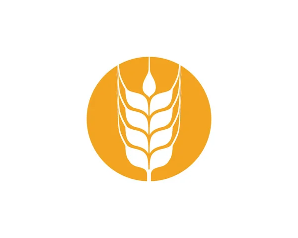 Landwirtschaft Weizen Vorlage Vektor Icon Design — Stockvektor