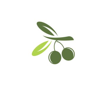 Zeytin logo şablonu vektör çizim