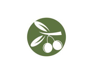 Zeytin logo şablonu vektör çizim