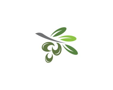 Zeytin logo şablonu vektör çizim