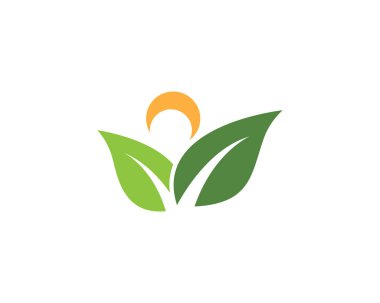 Yaprak ekoloji doğa Logo şablonu