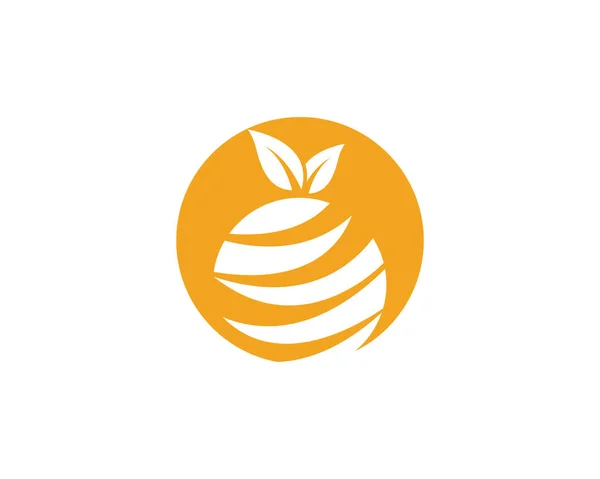 Design de logotipo laranja Vector — Vetor de Stock