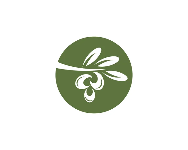 Logotipo de oliva plantilla vector ilustración — Vector de stock