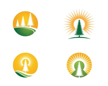 Sedir ağacı Logo şablonu