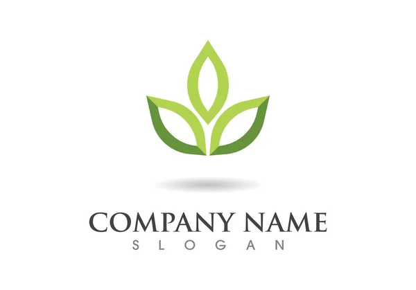 Projektowanie logo wektor liść — Wektor stockowy