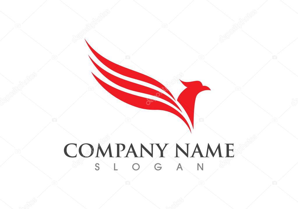 Falcon Eagle Bird Logo