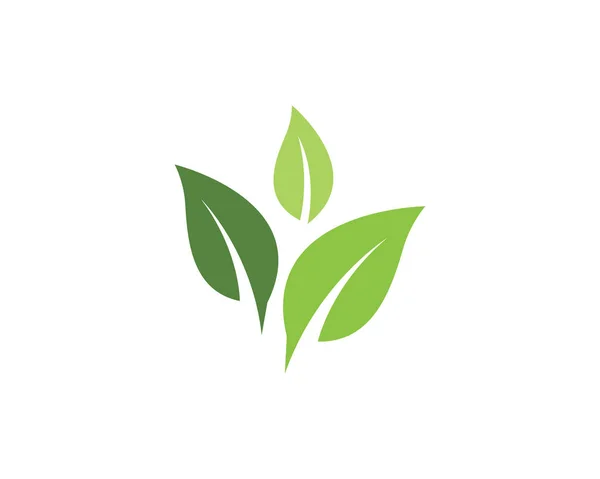 Ecología de la hoja Naturaleza Logo — Vector de stock